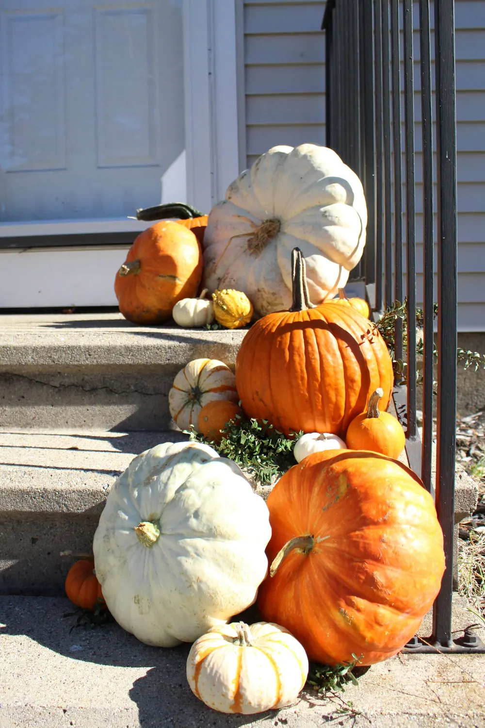 Charming autumn scene with decorative pumpkins and gourds on a doorstep.
